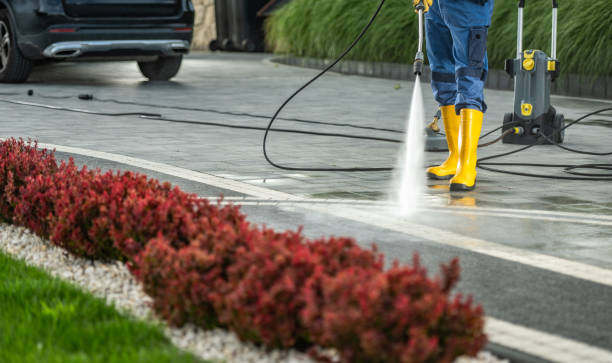 Best Dumpster Area Cleaning  in Lake Barcroft, VA